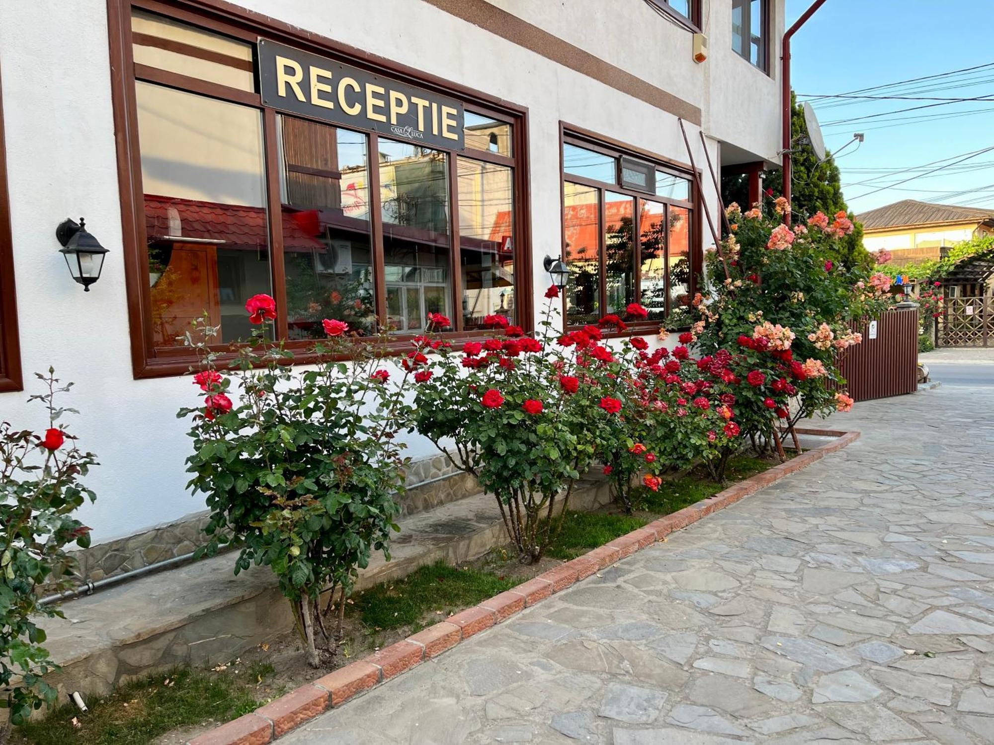 Hotel Casa Luca Vama Veche Exterior foto