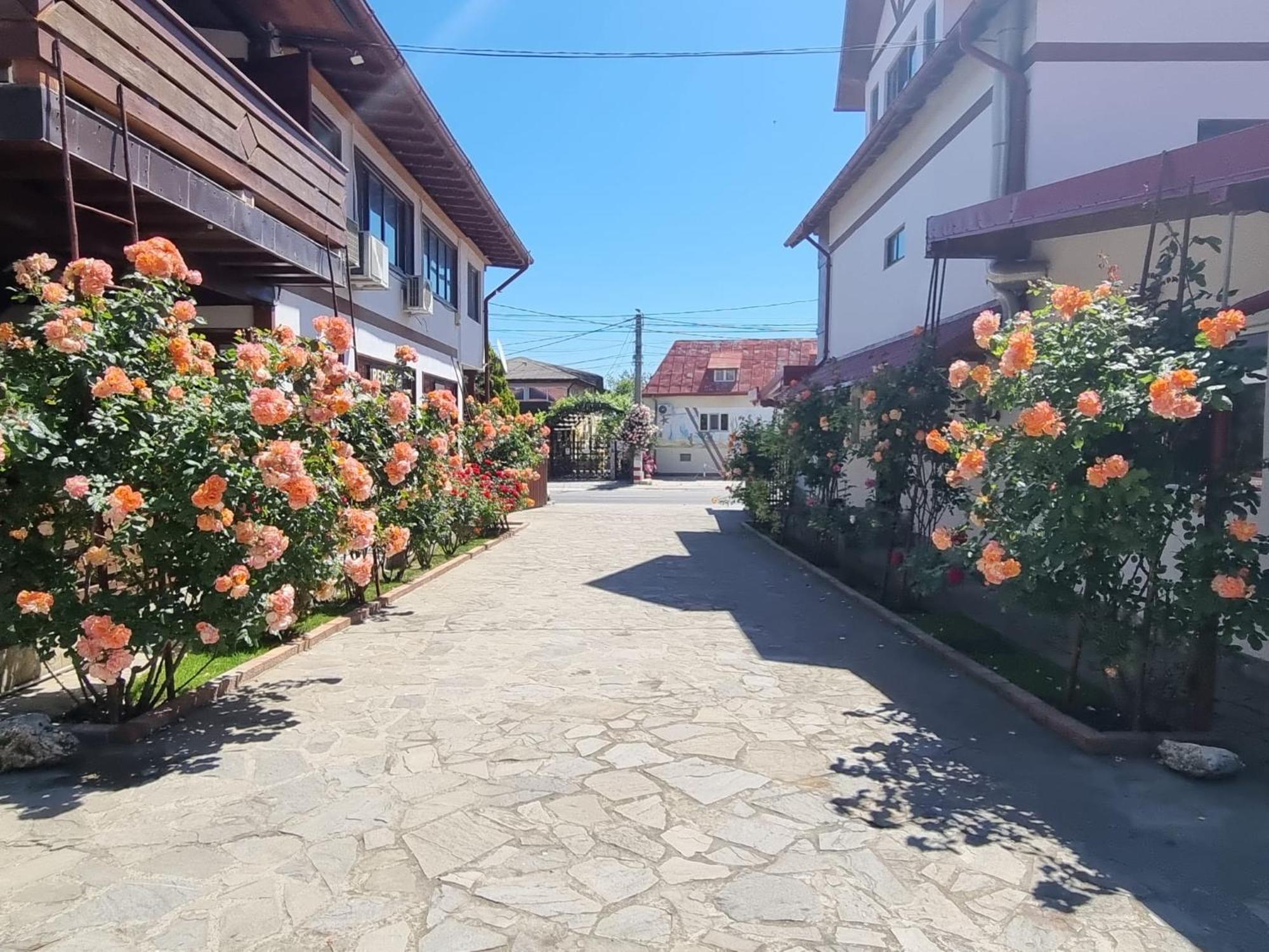 Hotel Casa Luca Vama Veche Exterior foto